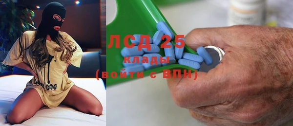 прущие грибы Армянск